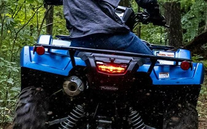 2025 Honda FOREMAN RUBICON 4X4 EPS