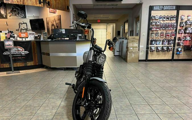 2024 Harley-Davidson Street Bob 114 Billiard Gray