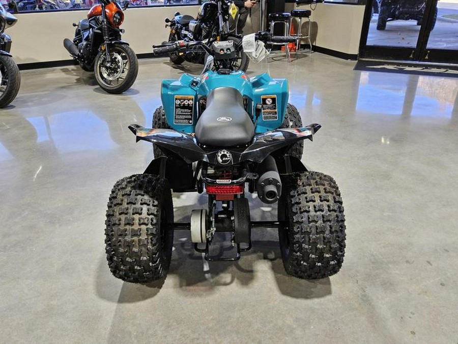 2026 Can-Am® Renegade 110 EFI