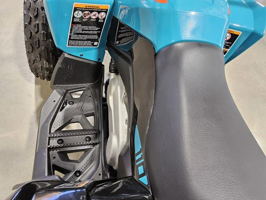 2026 Can-Am® Renegade 110 EFI