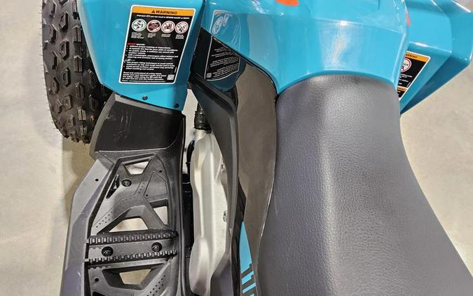 2026 Can-Am® Renegade 110 EFI