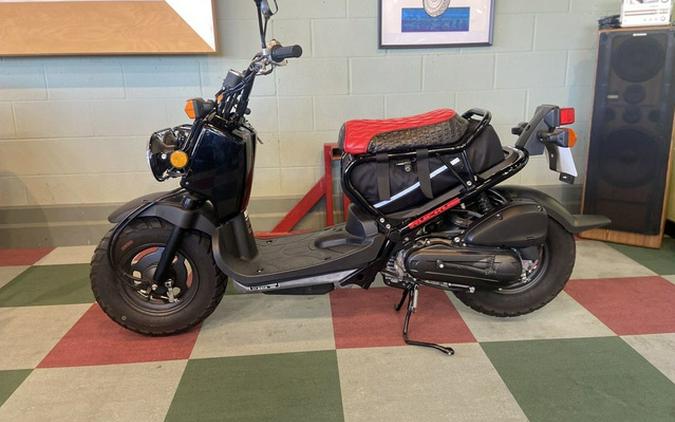2013 Honda Ruckus