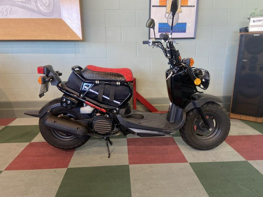 2013 Honda Ruckus