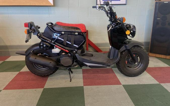 2013 Honda Ruckus