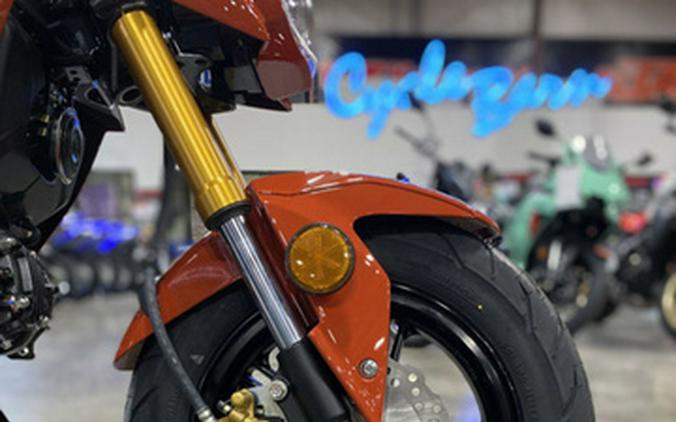 2025 Kawasaki Z125 PRO