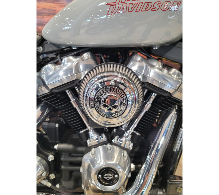 2024 Harley-Davidson® Softail® Standard Billiard Gray FXST