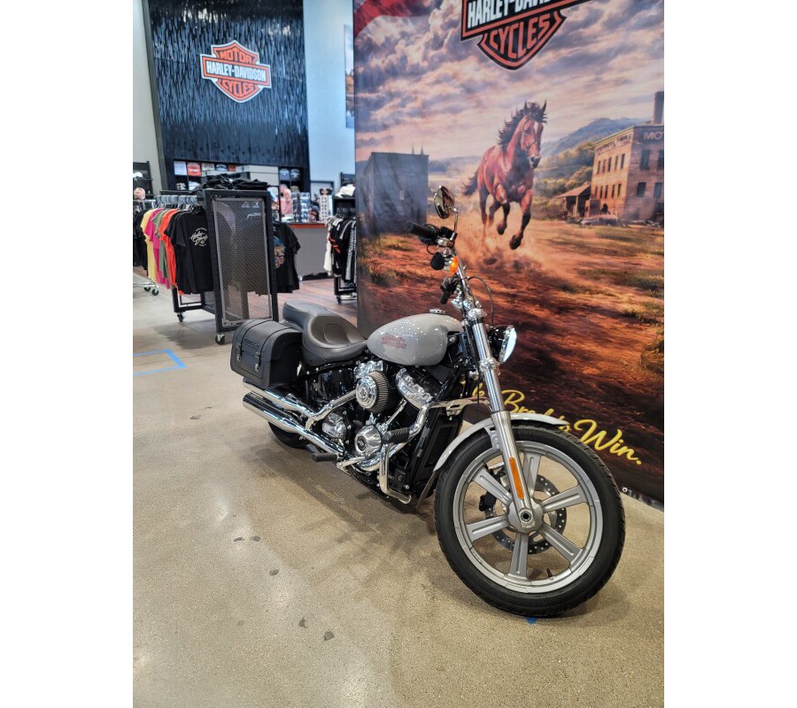 2024 Harley-Davidson® Softail® Standard Billiard Gray FXST