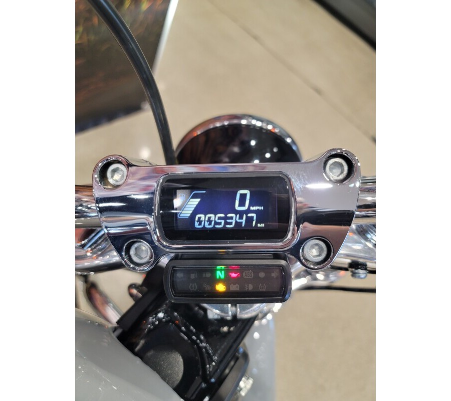 2024 Harley-Davidson® Softail® Standard Billiard Gray FXST