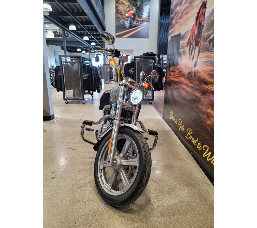 2024 Harley-Davidson® Softail® Standard Billiard Gray FXST