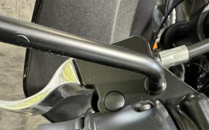 2025 Harley-Davidson Low Rider ST