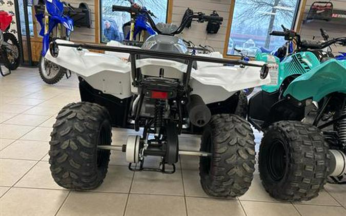 2024 Yamaha Grizzly 90