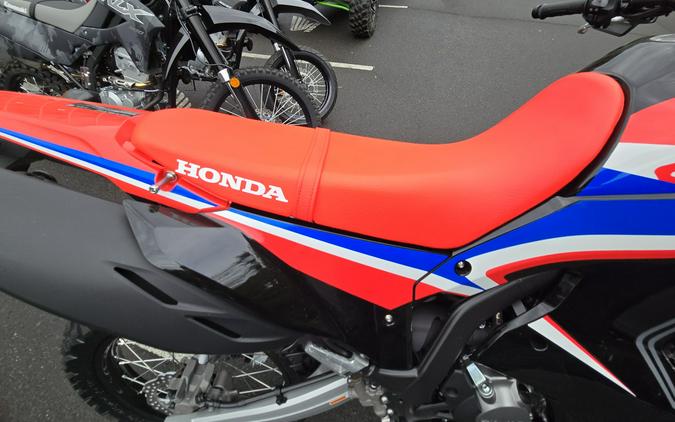 2024 Honda CRF300L Rally