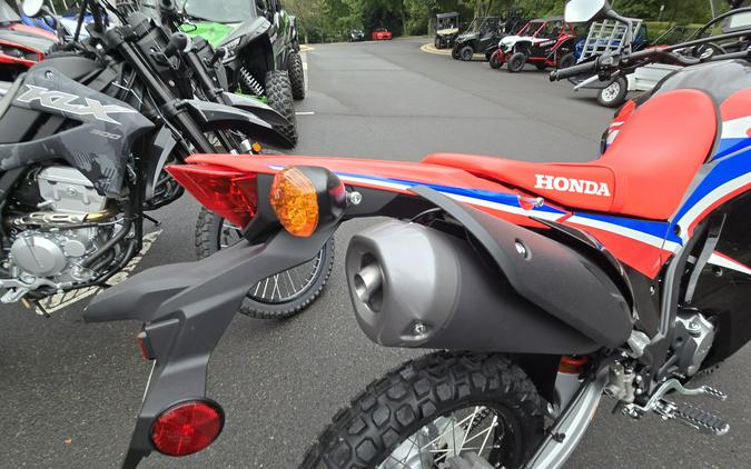 2024 Honda CRF300L Rally