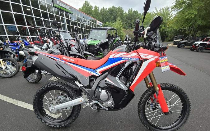 2024 Honda CRF300L Rally