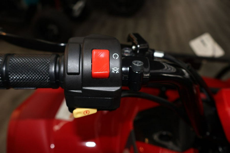 2025 Yamaha Grizzly 110