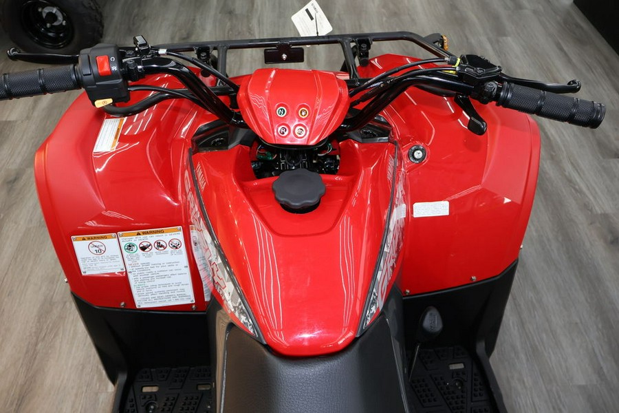 2025 Yamaha Grizzly 110