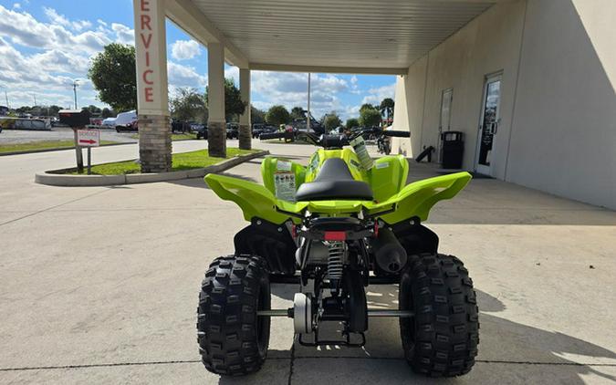 2026 Yamaha Raptor 110