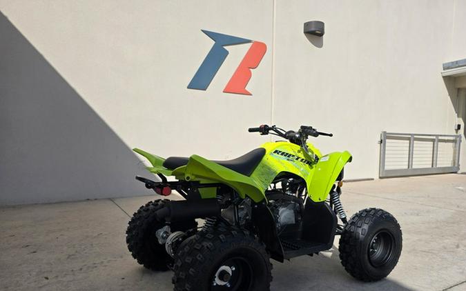 2026 Yamaha Raptor 110