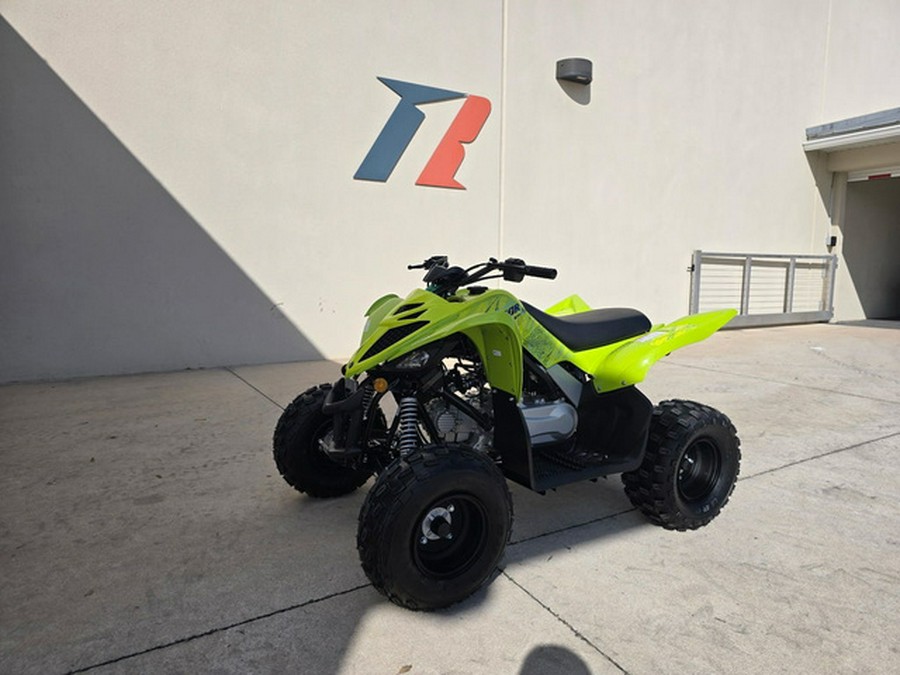 2026 Yamaha Raptor 110