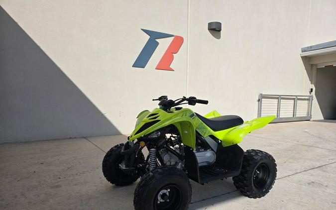 2026 Yamaha Raptor 110