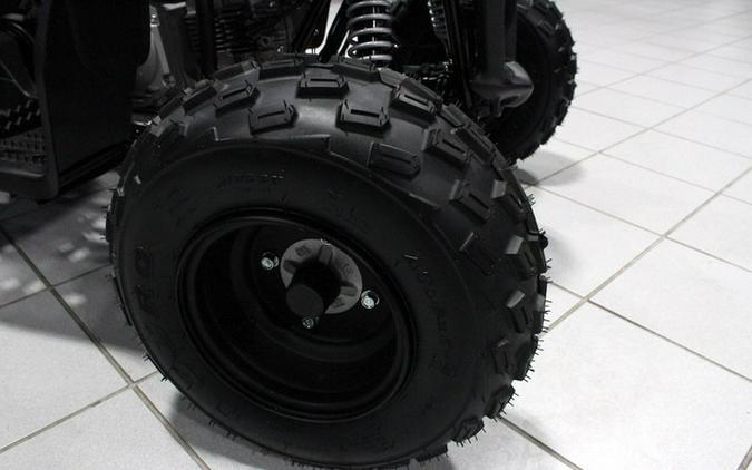 2026 Yamaha Raptor 110