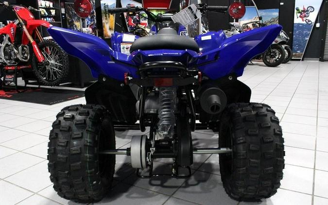 2026 Yamaha Raptor 110