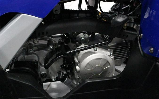 2026 Yamaha Raptor 110