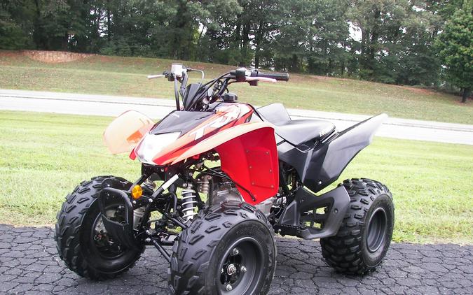 2024 Honda TRX250X