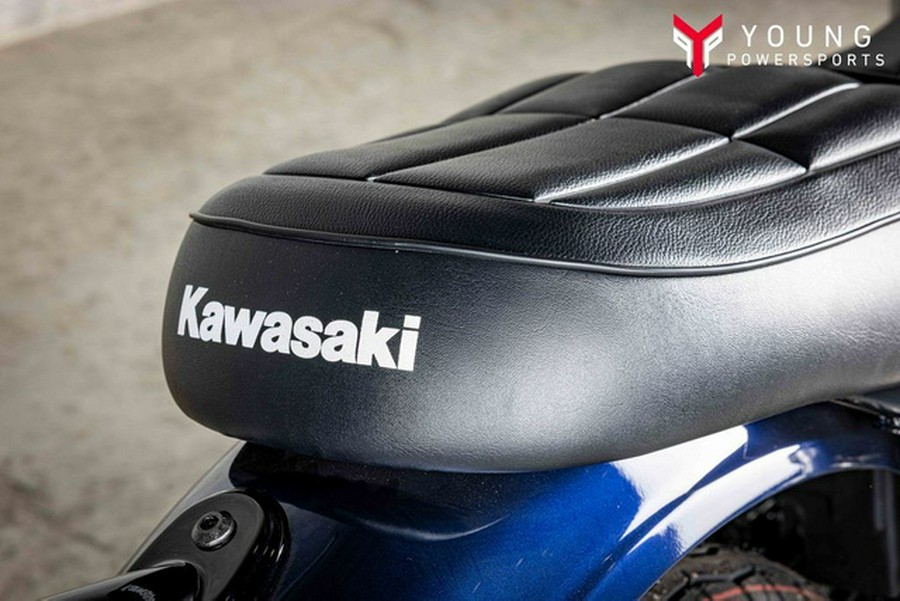 2025 Kawasaki W 230 ABS