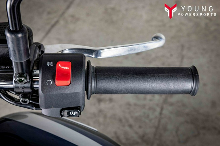 2025 Kawasaki W 230 ABS