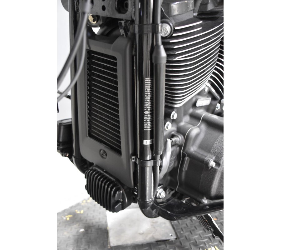 2023 Harley-Davidson Low Rider ST