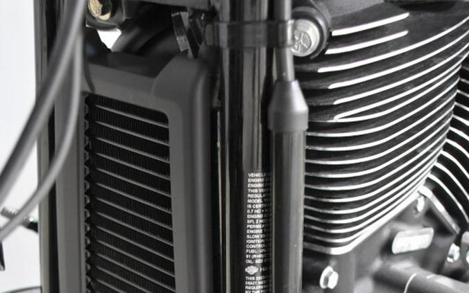 2023 Harley-Davidson Low Rider ST