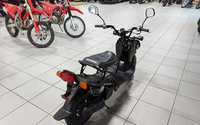 2024 Honda Ruckus