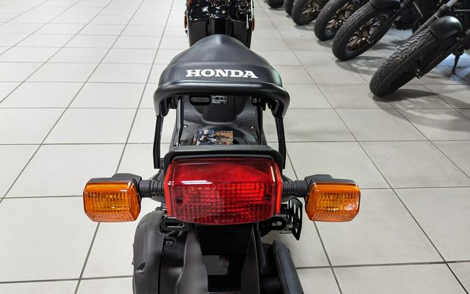 2024 Honda Ruckus