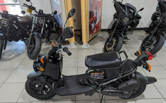 2024 Honda Ruckus