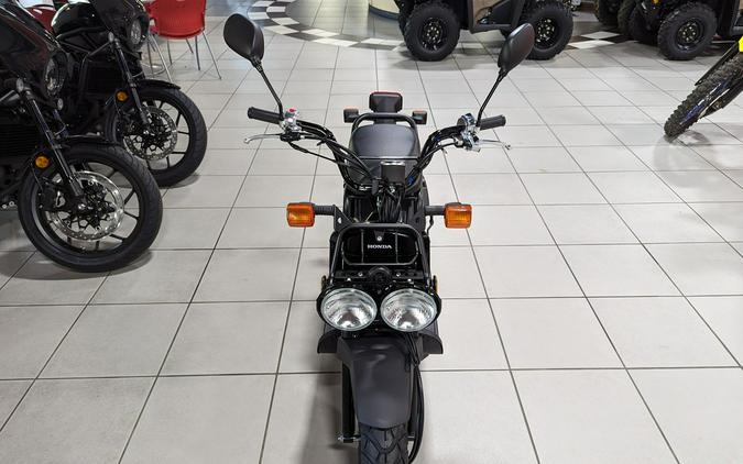 2024 Honda Ruckus