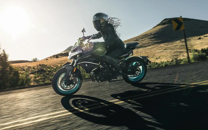2026 CFMOTO 800NK