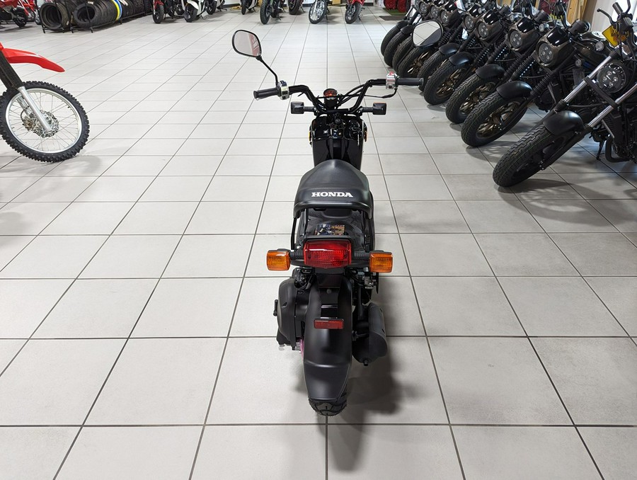 2024 Honda RUCKUS