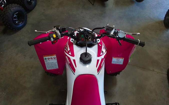 2024 Honda® TRX250X