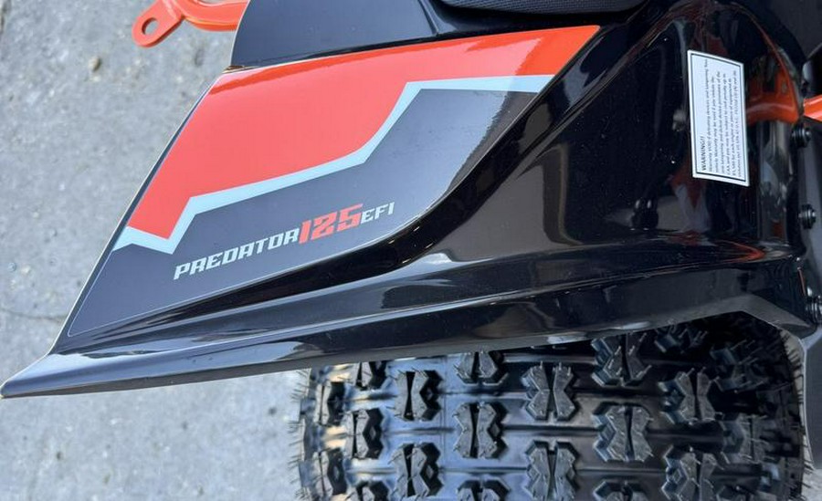 2025 Kayo Predator 125 EFI