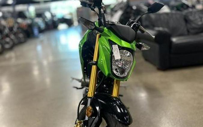 2024 Kawasaki Z125 PRO