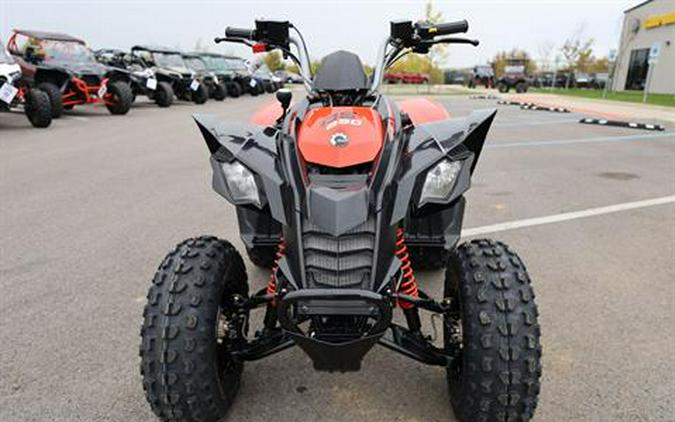 2026 Can-Am DS 250