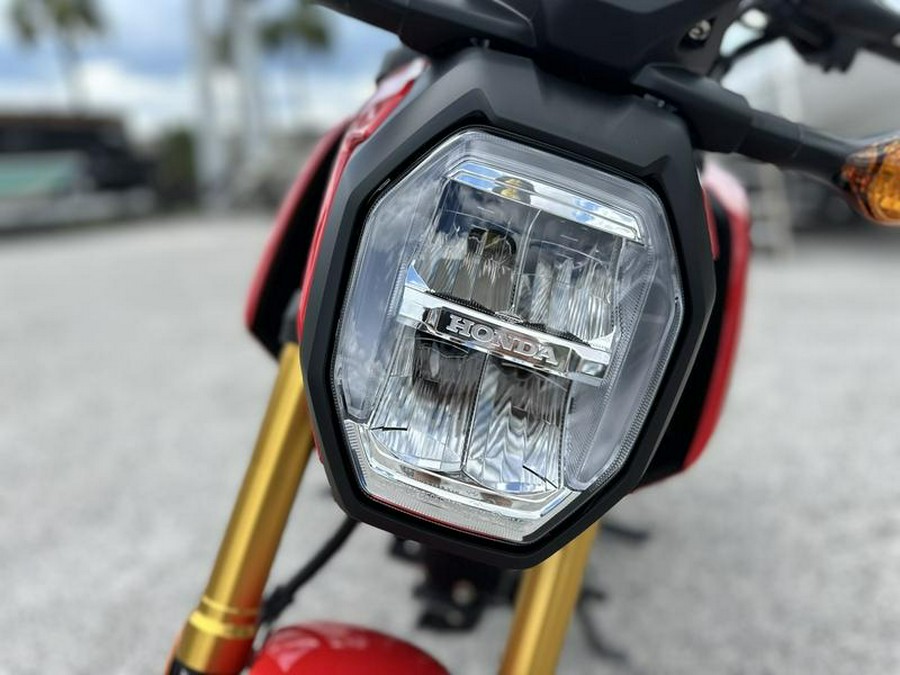 2025 Honda® Grom