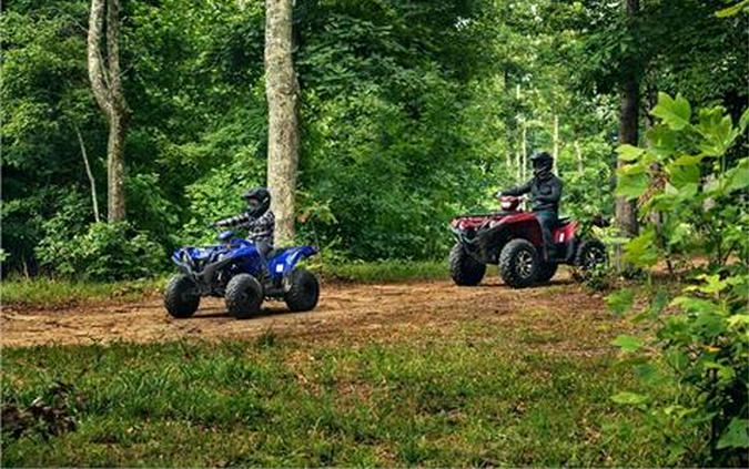 2019 Yamaha Grizzly 90