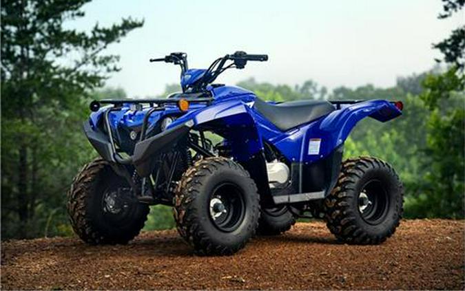 2019 Yamaha Grizzly 90