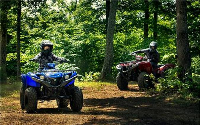 2019 Yamaha Grizzly 90
