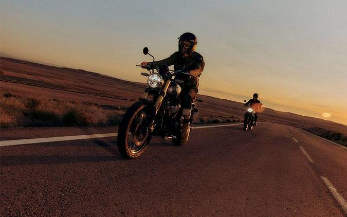 2025 Royal Enfield INT BEAR 650 249 EDITION