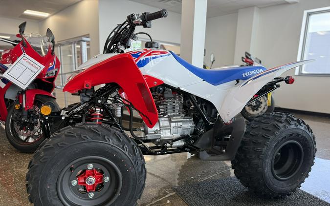 2026 Honda TRX250X