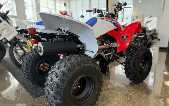 2026 Honda TRX250X