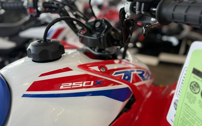 2026 Honda TRX250X